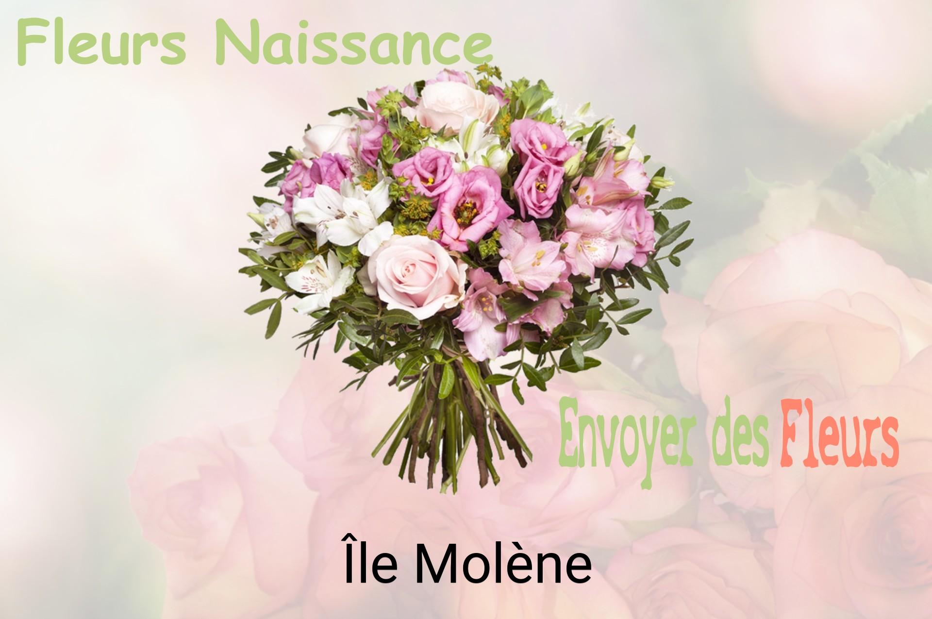 Bouquet de fleurs de naissance livré à Île-Molène