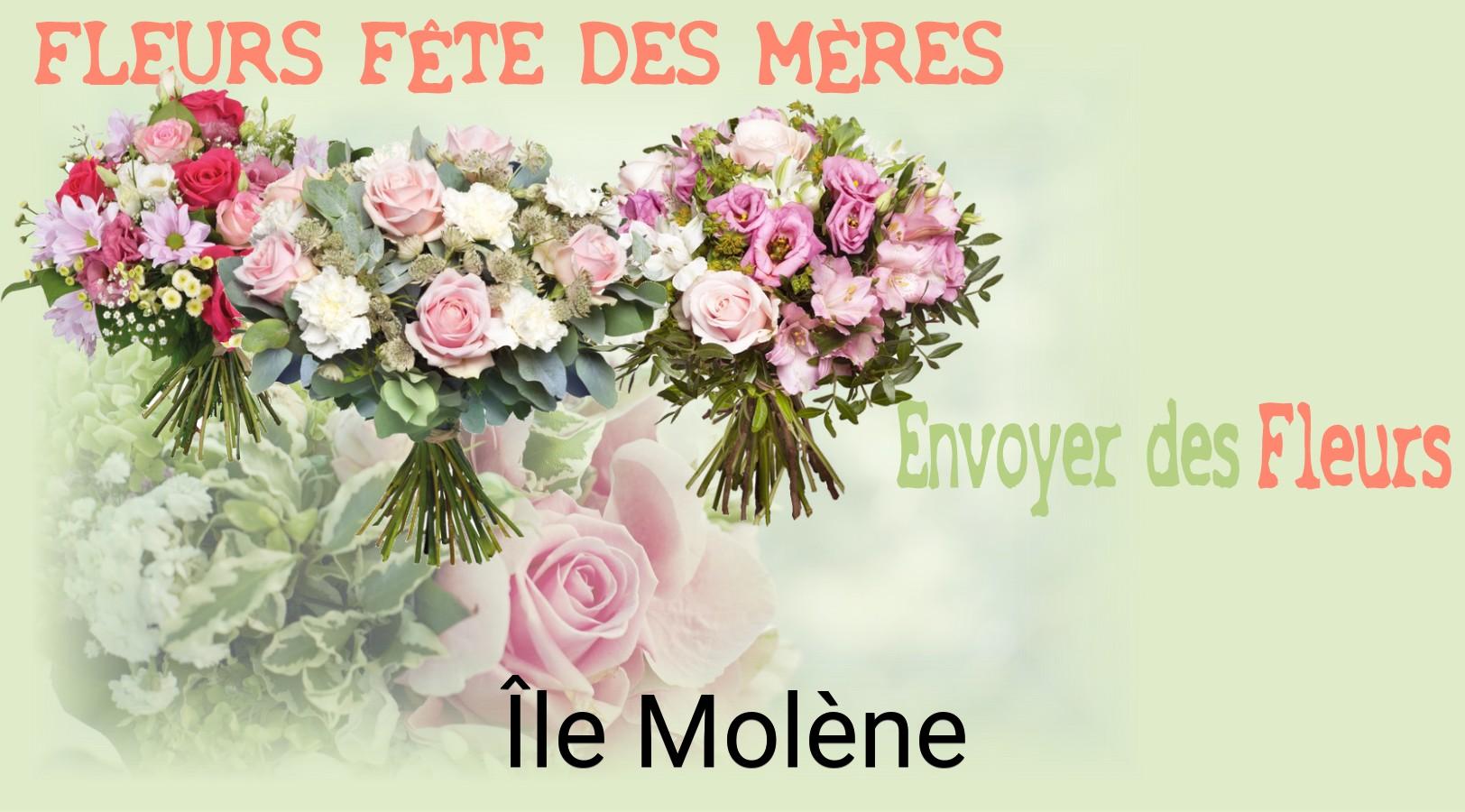 Bouquet de Fête des Mères livré à Île-Molène